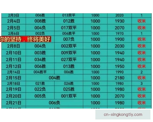 人工智能助力周末竞彩全胜攻略